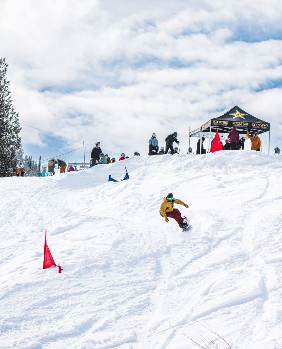 redresort tweet media