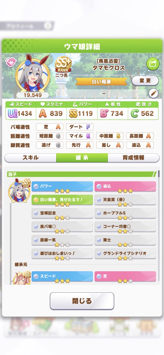 pnpn1011's tweet photo. #ウマ娘 #ウマ娘フレンド募集中 
🆔339 445 288
青因子パワー3スピ6
赤因子追込3芝2中距離2
グラライ因子×4 クラマ×2
後は適当に見てくれい😇 https://t.co/ZpTBUJRm14