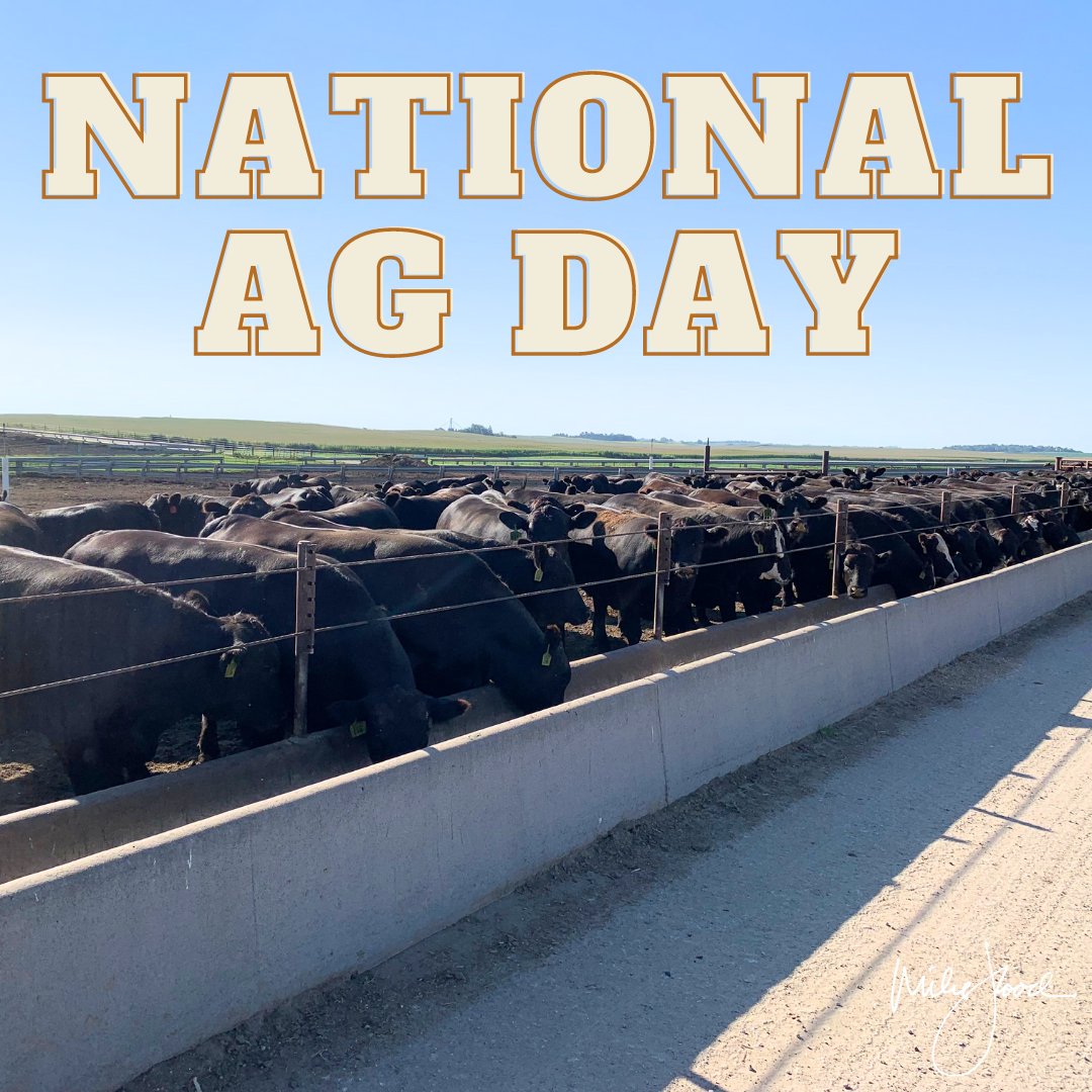 It’s #NationalAgDay! Nebraska leads the nation in growing the world’s food, fuel, and fiber. Here’s a few of our rankings ⬇️
 
#1 Cattle on feed 🐮
#2 Ethanol production ⛽
#3 Corn exports 🌽
#4 Ag exports 🚚
#5 Soybean exports 🚜