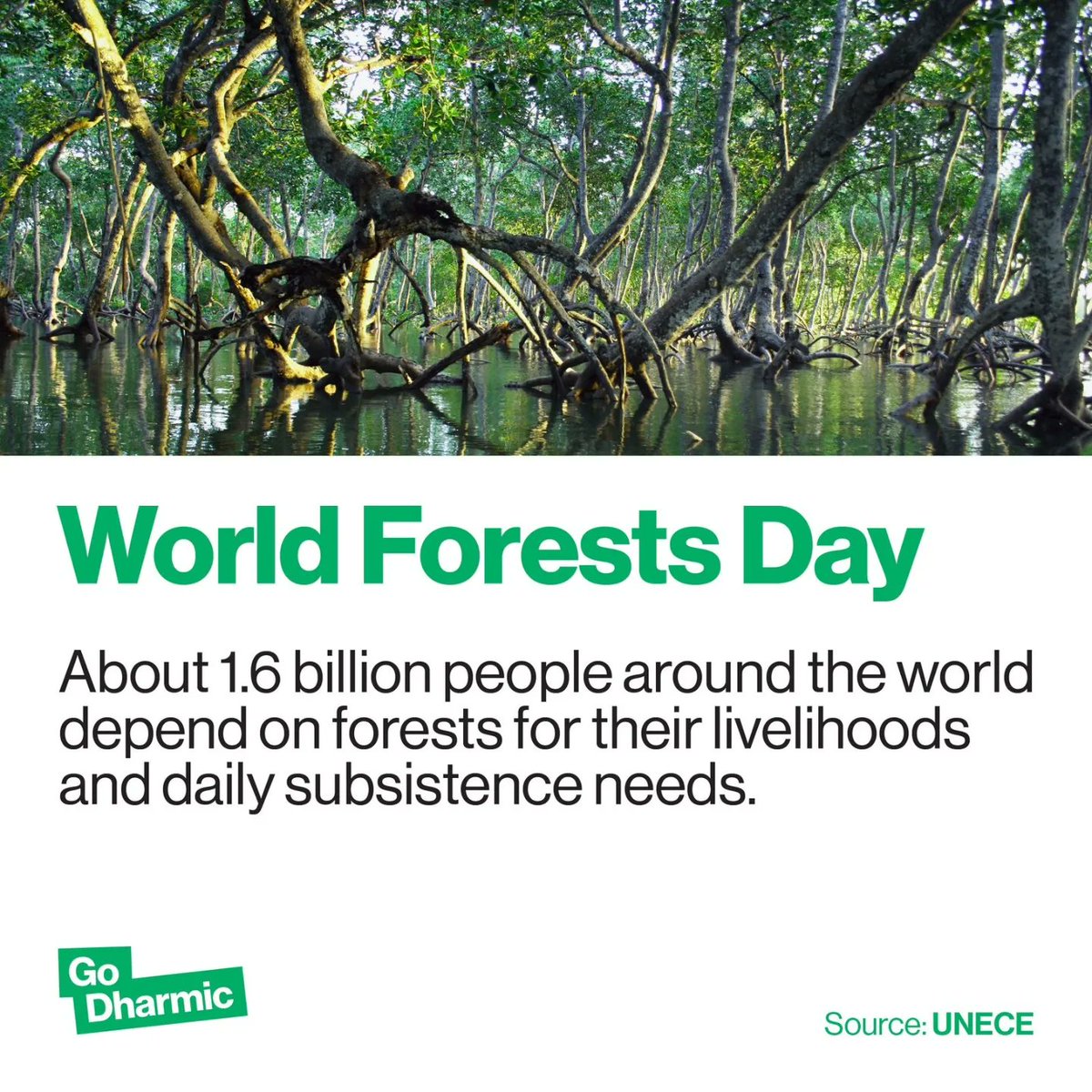 GoDharmic's tweet photo. Dharma forest is our initiative for addressing the climate change.
World Forest Day🌳
Message us or 📧 info@godharmic.com for information
For planting a tree, visit https://t.co/eub4cqSVfE
#godharmic #worldforestday #mangrovesforest #sunderban #sundarvan #westbengal https://t.co/tQCpAr3fkG