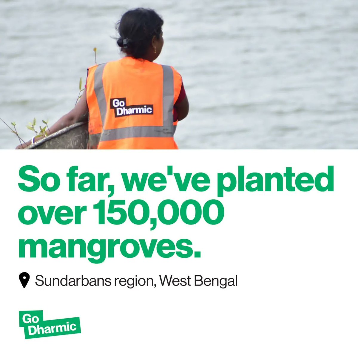 GoDharmic's tweet photo. Dharma forest is our initiative for addressing the climate change.
World Forest Day🌳
Message us or 📧 info@godharmic.com for information
For planting a tree, visit https://t.co/eub4cqSVfE
#godharmic #worldforestday #mangrovesforest #sunderban #sundarvan #westbengal https://t.co/tQCpAr3fkG