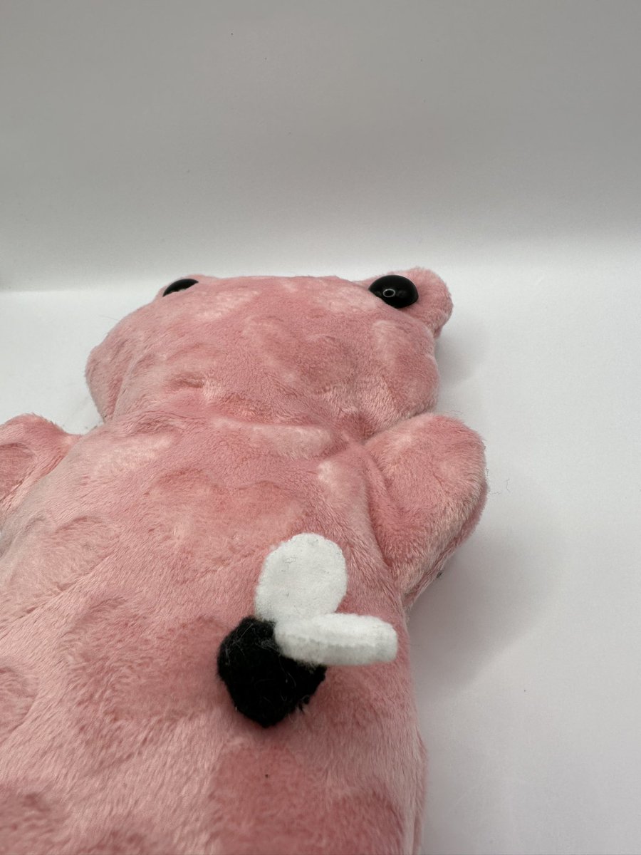 cakepopplush's tweet image. dawn the love frog is now available for adoption 🐸💗 #frog #frogplush #oneofakind #22marzo #handmadeplush #plushy