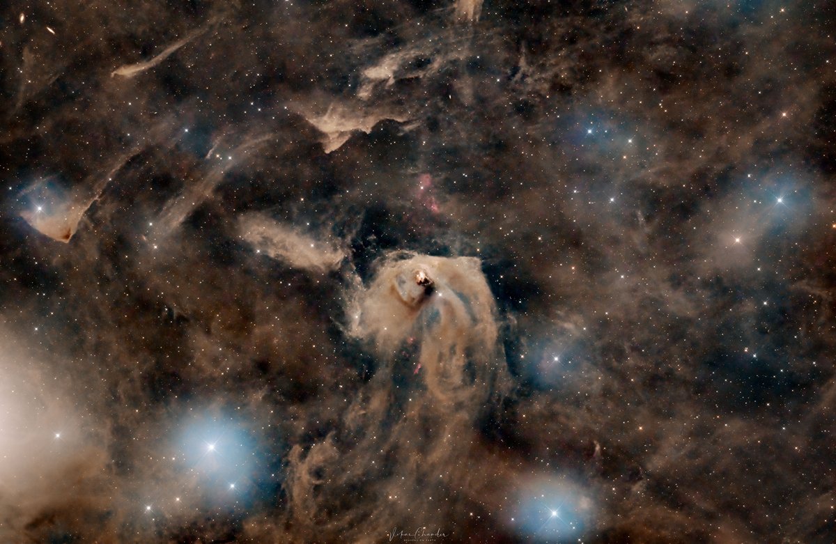 shreerangp's tweet photo. Dark Nebulae and Star Formation in Taurus π¨βππ©βπ
#SpaceForce #space #spaceX #astronomy #AstronomyClub #NASASocial #NASA #ISRO #ASTRO #astrology #NASAatHome #Explore #wallpaper #TuesdayThoughts https://t.co/6UMVDpS1Uk