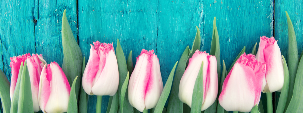 Danish-American Chamber of Commerce tweet media