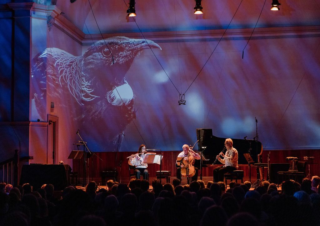 Wānaka Festival of Colour 2023 - the reviews are in! - mailchi.mp/festivalofcolo…