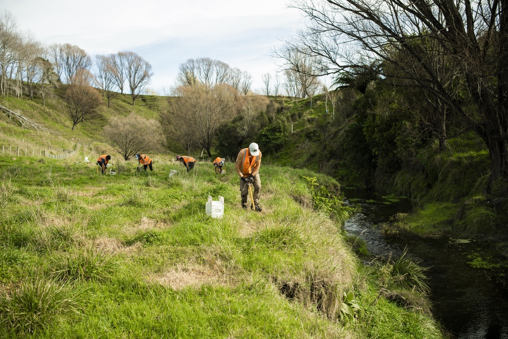 🌳 Trees That Count 🌳 tweet media