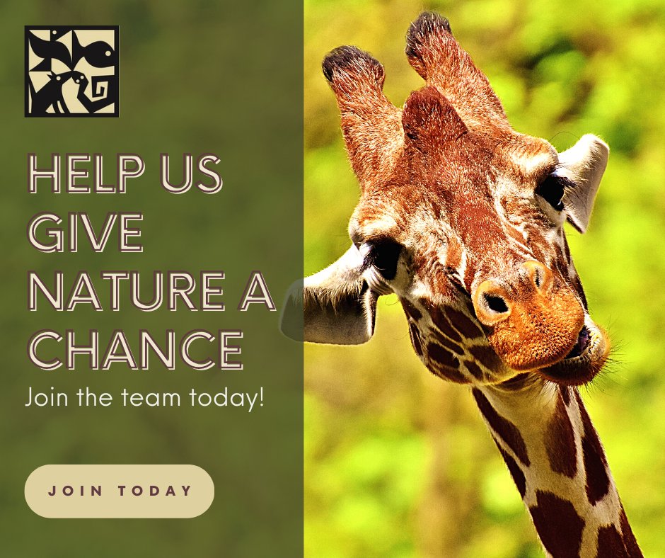 Turner Endangered Species Fund tweet media