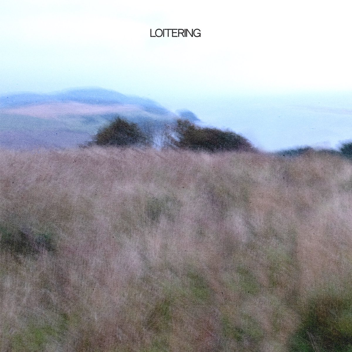 Nothing says our new single is coming out on Friday like two moody people in a field. 

Loitering is out on the 24th, pre-save link below: 

emubands.ffm.to/loitering?fbcl…

#synthpop #newwave #newmusic