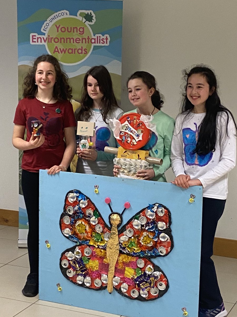 Well done to the #yea Eco Unesco young environmentalists awards semi finalists 2023 Butterfly Mossaic. Bee beautiful bee butterflies.
