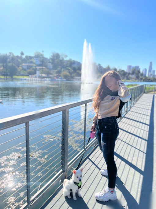 Good morning Twitter, a rescued a puppy and went on a road trip to LA! She did amazing staying in the<a href="/tag/puppylove"class="tags"><span>#puppylove</span></a>