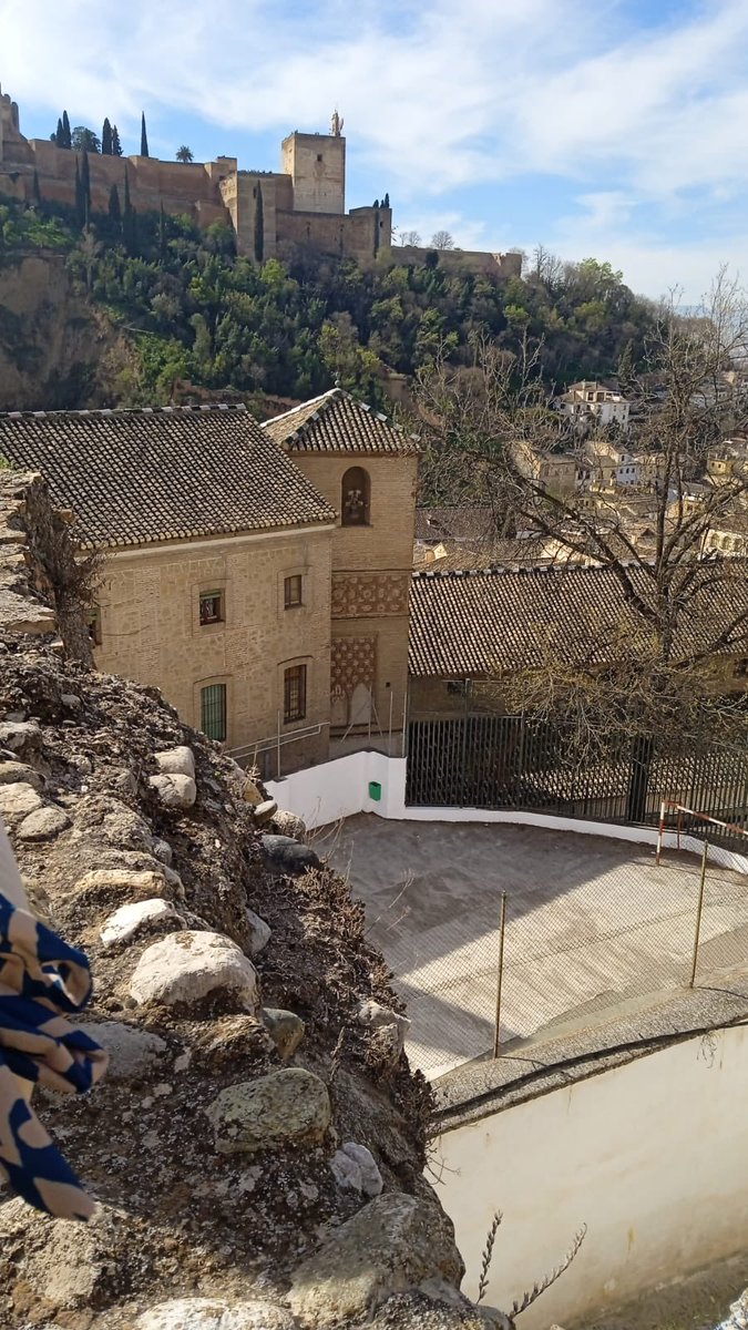 Aurora Suárez tweet media