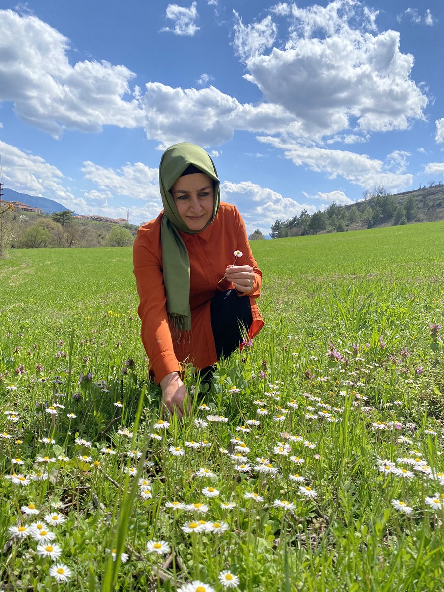 Hoş geldin bahar 💐

Baharın, birliğin, barışın, bolluğun, bereketin müjdecisi #NevruzBayramı kutlu olsun.