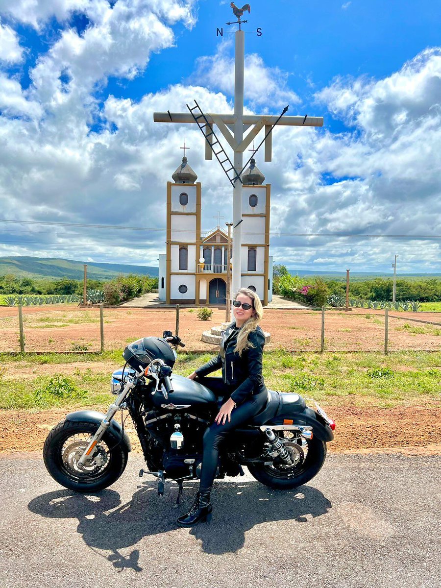 harleygalicia's tweet photo. 🤘#harleydavidson #harley #harleydavidsonmotorcycles #harleydavidsongalicia #harleydavidsongirl #harleygirl #harleylife #bikergirl #garajeclandestino #iron883 #streetrod #fortyeight #lowrider #fatboy #softail #breakout #streetbob #roadgilde #rodadking #vrodmuscle #custom #picture https://t.co/mXGNkAA40P
