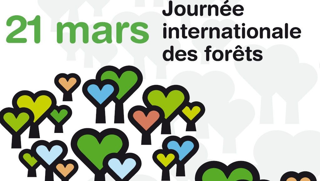 L'équipe Biogance vous souhaite une belle journée internationale des forêts !  #ecologie #journéeinternationaledesforêts