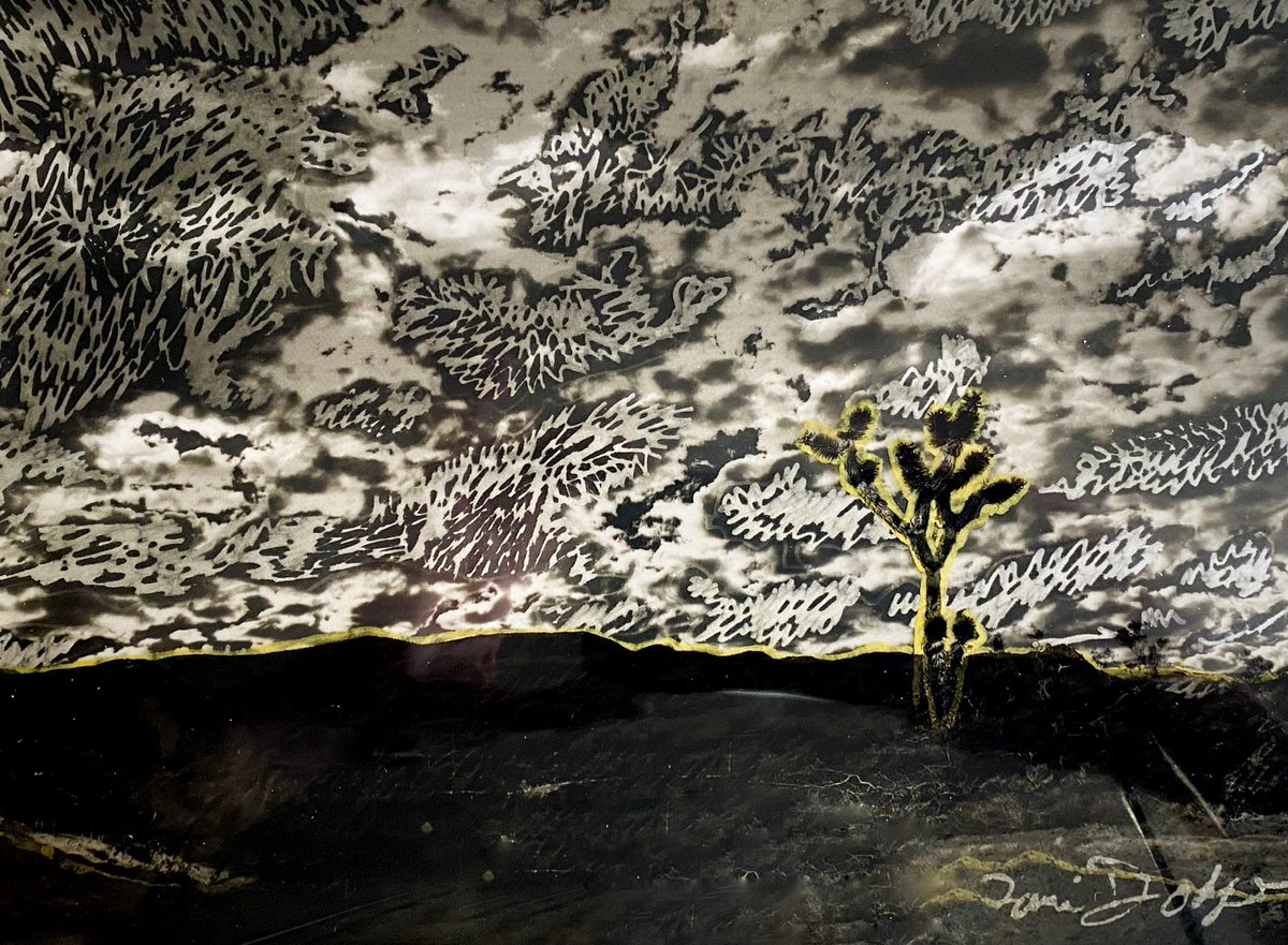 Dani Dodge tweet media