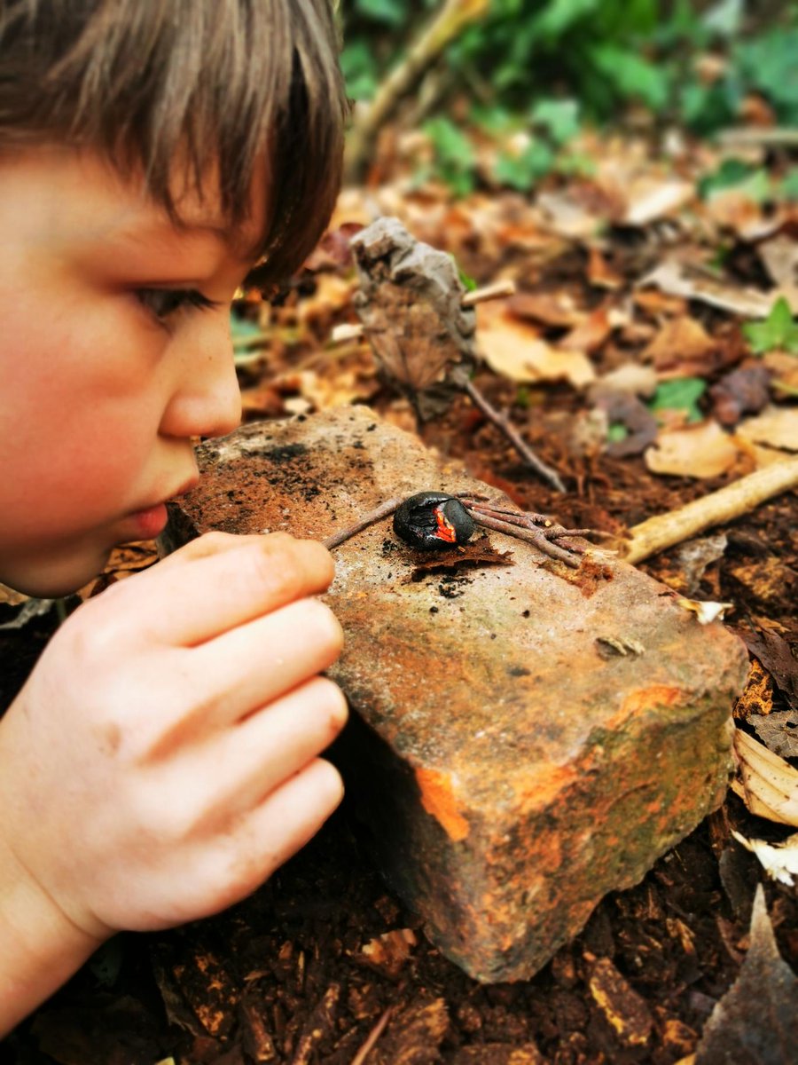Myddelton_Prep's tweet photo. Lower Prep have been crafting clay goblins and elves with mini-dens and making mini fires out of King Alfred's cakes fungi ππ₯π§ββοΈβ¨πΏ
#LTTO @MyddeltonColl π https://t.co/LRta1quLCG