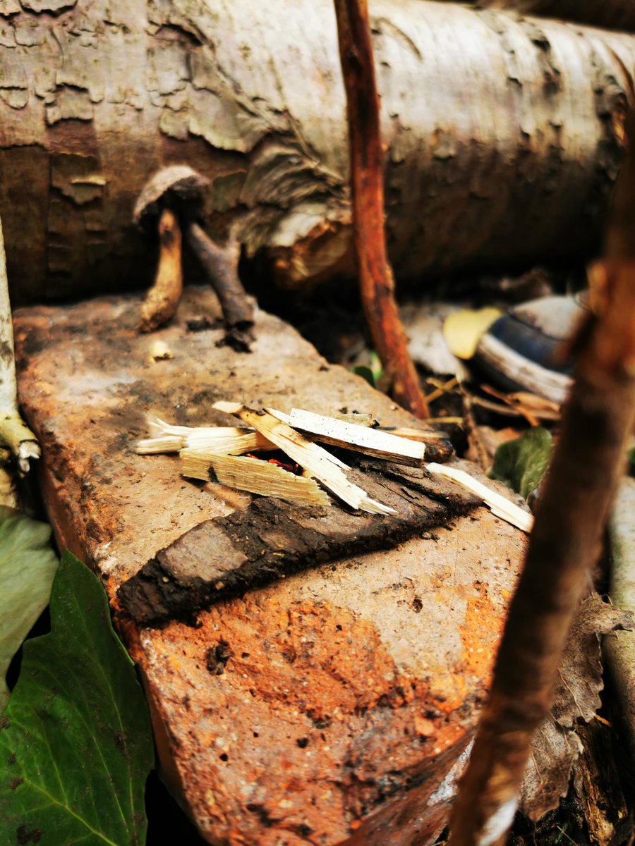 Myddelton_Prep's tweet photo. Lower Prep have been crafting clay goblins and elves with mini-dens and making mini fires out of King Alfred's cakes fungi ππ₯π§ββοΈβ¨πΏ
#LTTO @MyddeltonColl π https://t.co/LRta1quLCG