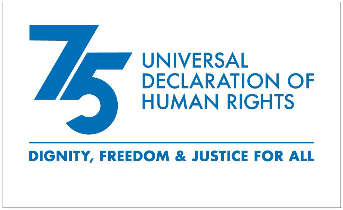 Seventy five years ago, the international community agreed on a set of common values and acknowledged that rights are inherent to every single human being. These rights are enshrined in the Universal Declaration of Human Rights, a blueprint for international human rights norms.