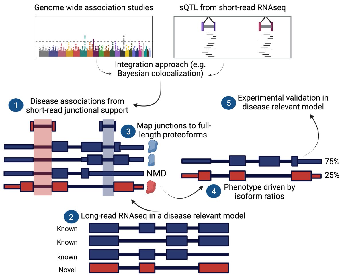 I am excited to announce the final chapter of my dissertation work is now on BioRxiv biorxiv.org/content/10.110…
