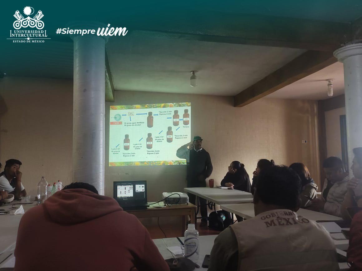 UIEMOficial's tweet photo. El Mtro. Ildefonso Ronquilllo, docente #DesarrolloSustentable🌱, impartió el curso de agrohomeopatía para el manejo de plagas y enfermedades a técnicos de Sembrando Vida de la Región Rayón-Pantepec-Bochil y a estudiantes de #DesarrolloSustentable 🌿y de la MGRIS🍀🔬 #OrgulloUIEM https://t.co/KbOiKFcKy7