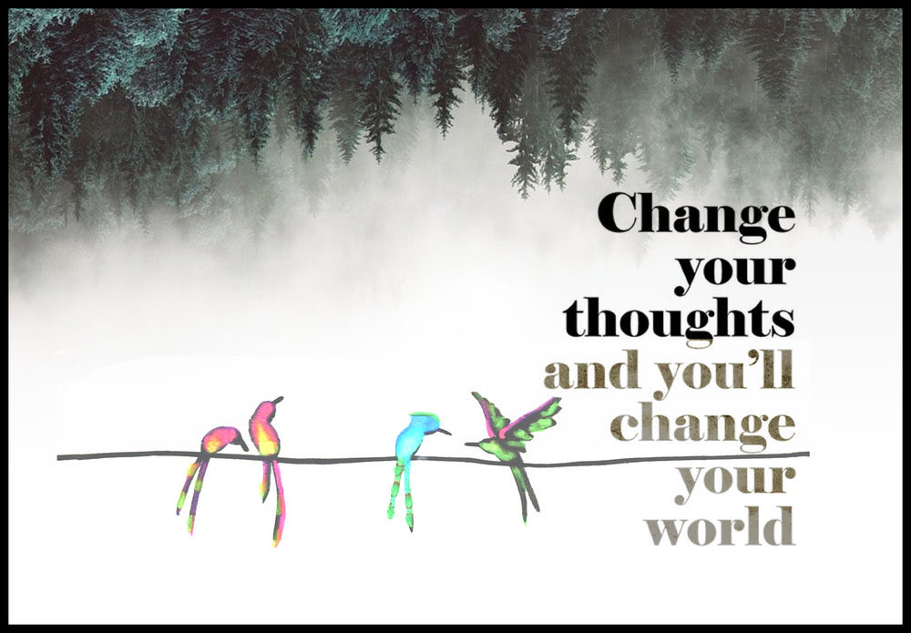 AmandaThompso15's tweet photo. https://t.co/xVBRvgahPr