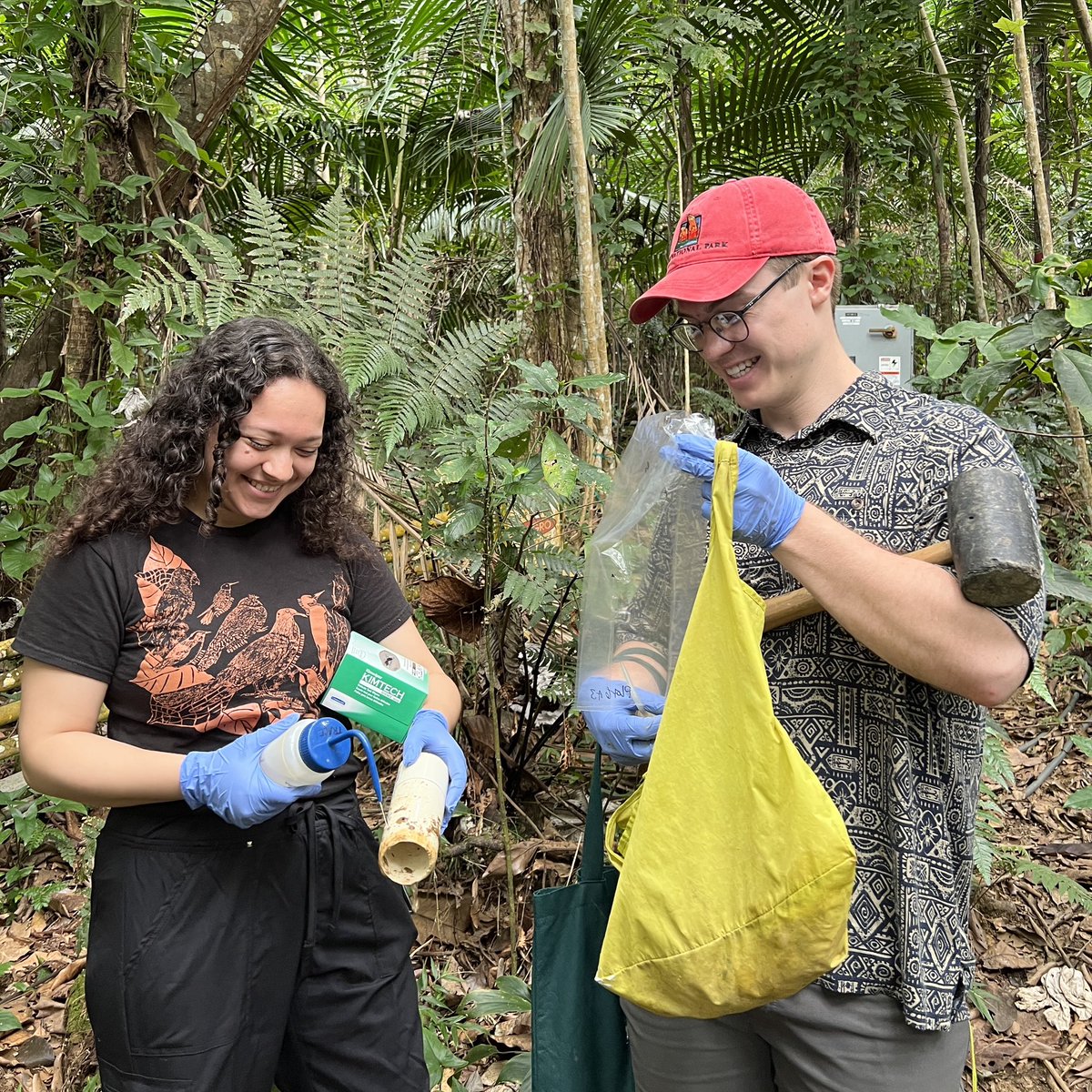 ForestWarming's tweet photo. Fieldwork you feel in your Core! 💪

We recently took out soil cores from the TRACE plots for the Shadehouse experiment. They were taken from experimentally warmed and control plots. As you can see, soil coring is quite the workout! 🔨 #ForestWarming https://t.co/R3YZfNGAwW
