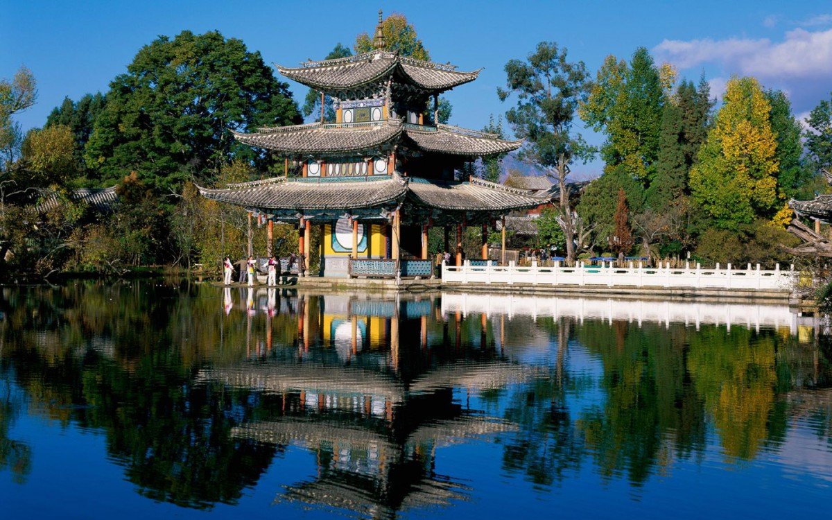 多行不义必自毙。