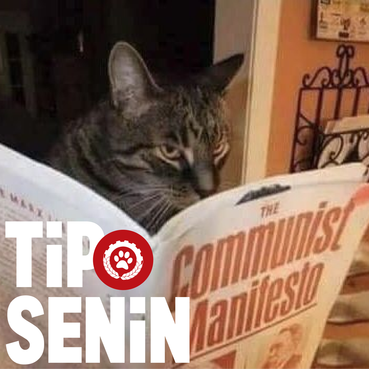 IsciPatisi's tweet photo. Nitelikli eğitimin anaokulundan üniversiteye  ücretsiz olması gerektiğini düşünüyorsan #TİPSenin ! https://t.co/FGEys5U32F