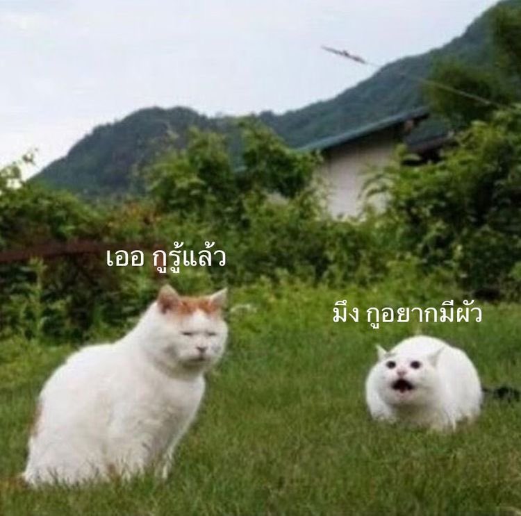 มันจะมีเพื่อนอยู่คนนึง