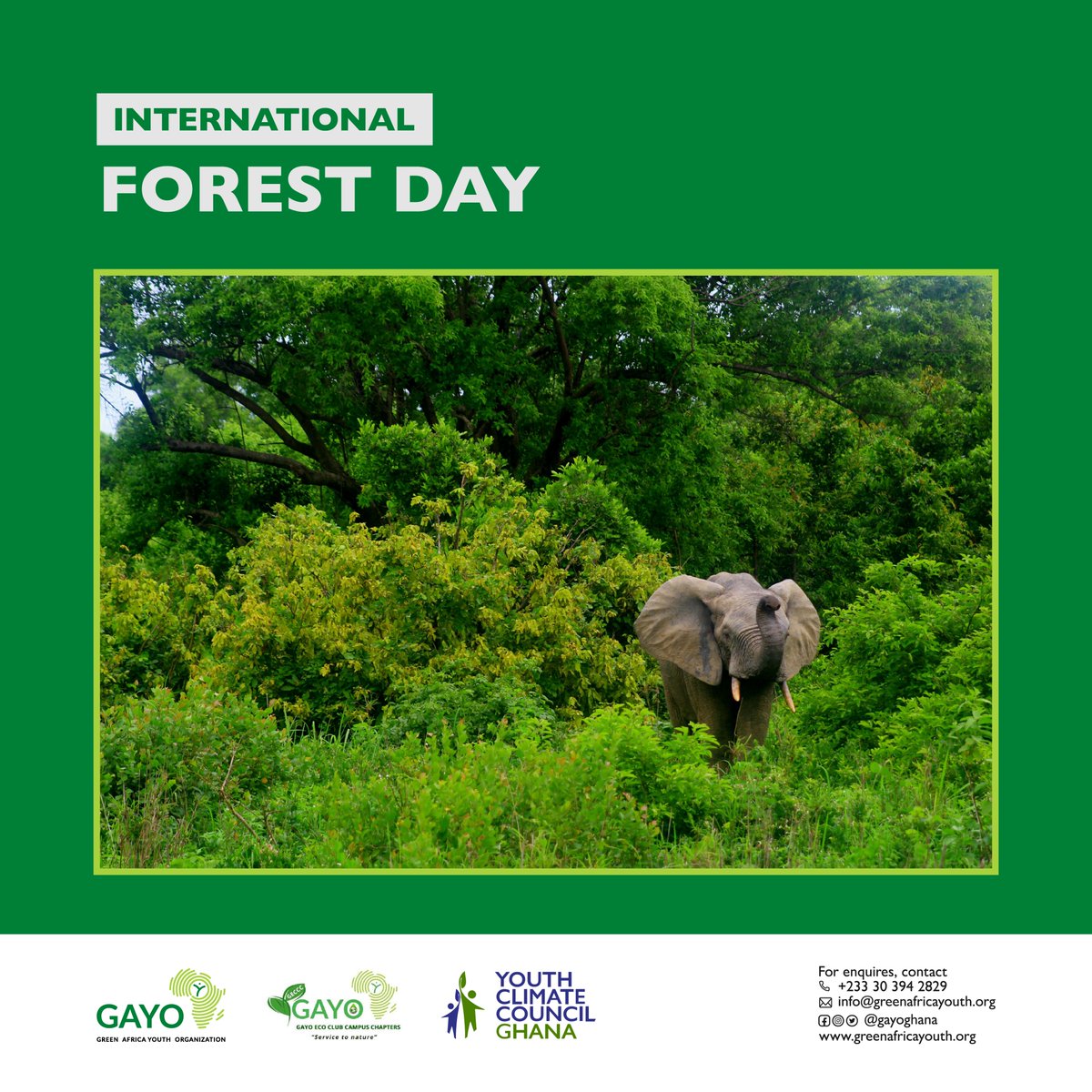 gayoghana's tweet photo. On this International #Forest Day, we celebrate all individuals and groups, especially youth, that are striving to keep forests and #wildlife alive.

#Ghana #environmentalcrisis #deforestation #plasticpollution #water #pollution #waste #climatechange https://t.co/wmUYyV5S9m