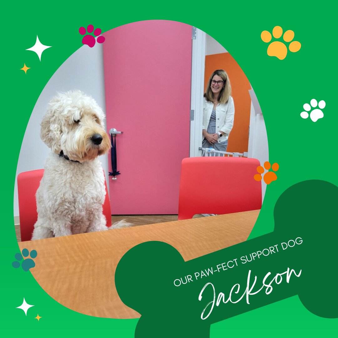 NScoliosisC's tweet image. Jackson is just checking in with our Orthotists to ensure our patients get the best support possible during their journey. Anything is paw-sbile when you have Jackson by your side! 

#SupportDog #scoliosis #ScoliosisAwareness #OfficeDog #DogsAtWork #NationalScoliosisCenter
