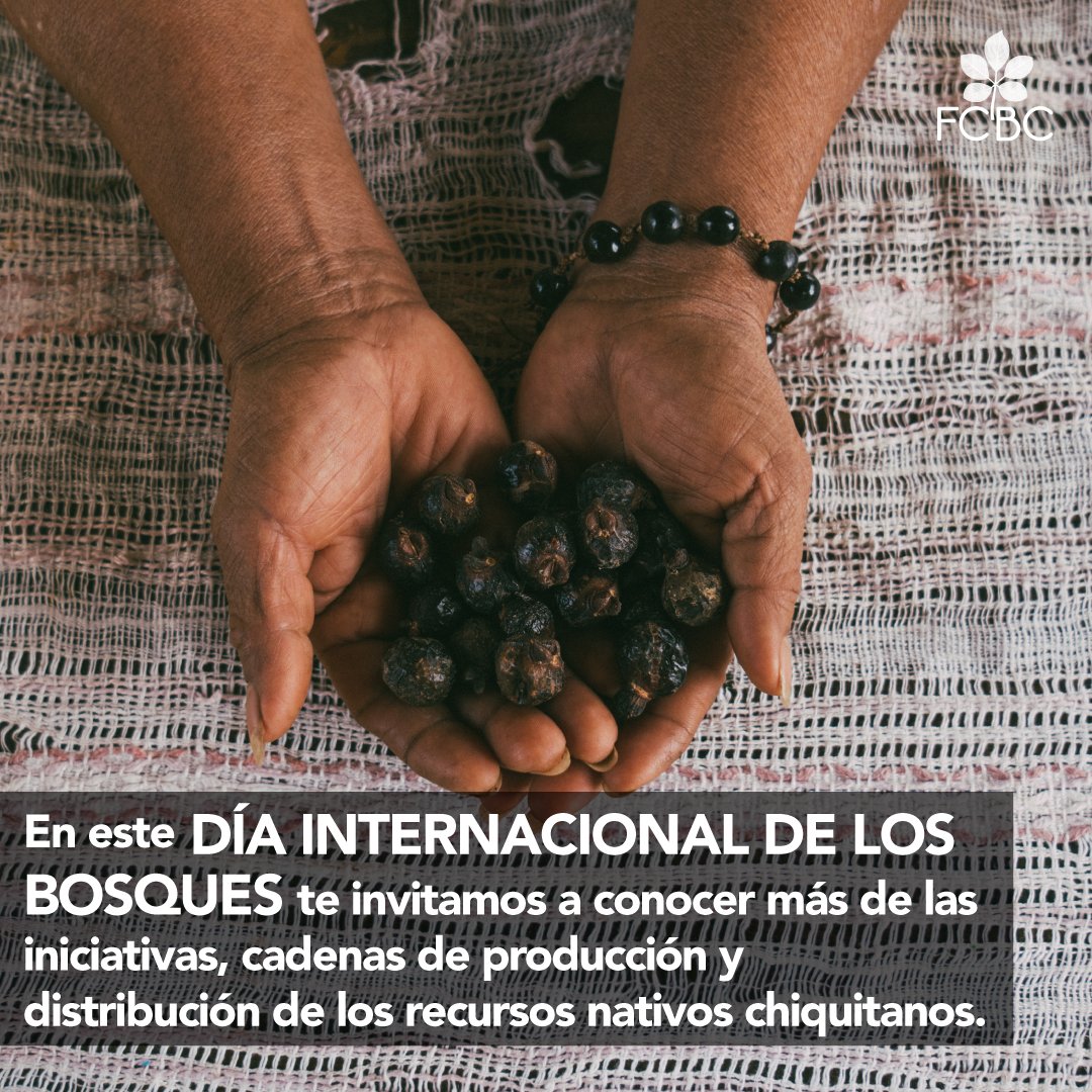 En este #DíaInternacionaldelosBosques, te invitamos a conocer más de los recursos nativos del Bosque Seco Chiquitano a través de una nueva página web institucional: recursosnativos.fcbc.org.bo