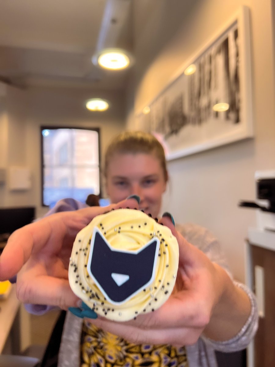 Black Cat Building Consultancy tweet media