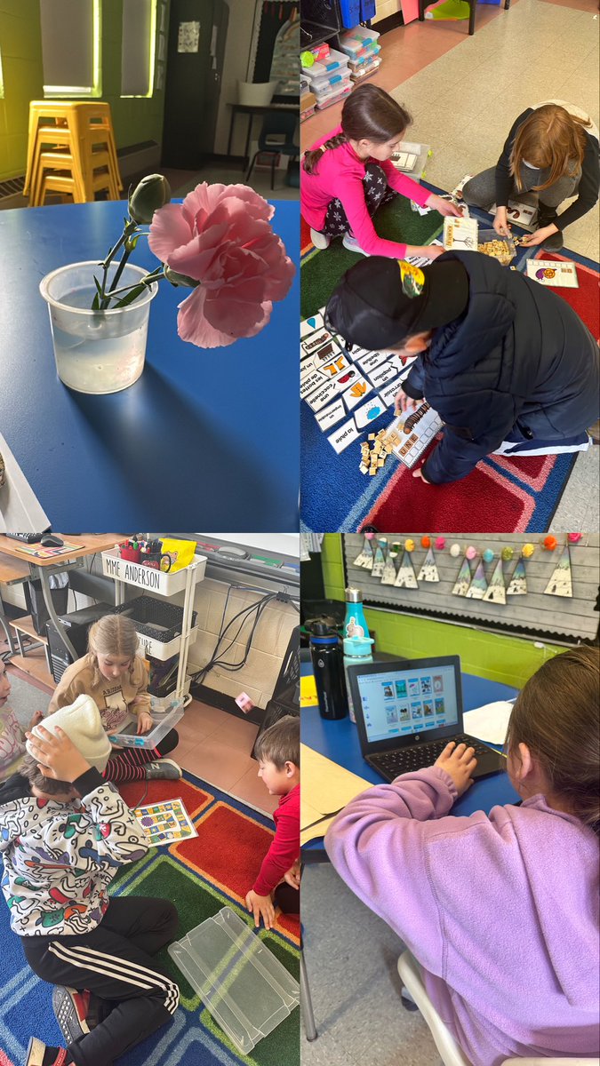 anderson_mme's tweet photo. Starting spring off strong with a beautiful flower surprise from a student, and some spring vocabulary review! #printemps 🌸 https://t.co/oUYdmH83dH