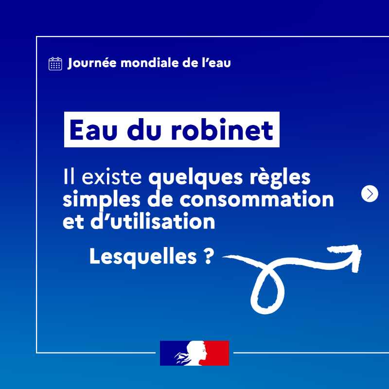 Sante_Gouv's tweet photo. Journée mondiale de l'#eau | Selon le @cieau, 67% des Français déclarent boire quotidiennement de l’eau du robinet 🚰

Il existe quelques règles simples pour une bonne consommation et utilisation. Lesquelles ? ⤵