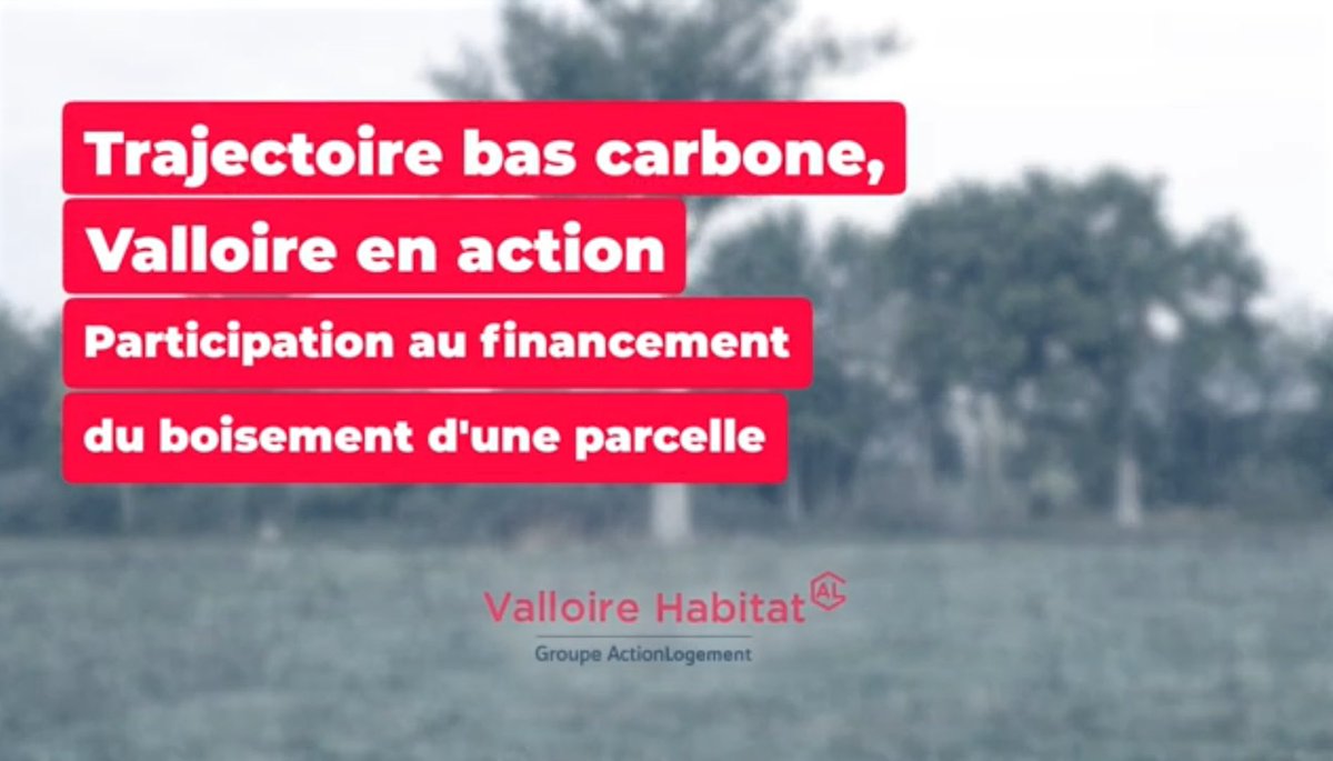 ValloireHabitat's tweet photo. [#JIF2023 #JouneeInternationaledesForets]
Dans le cadre de sa stratégie #bascarbone, #ValloireHabitat #ActionLogement a créé un fonds vert afin de financer du reboisement pour développer des #puitscarbone et lutter ainsi contre le réchauffement climatique. https://t.co/yQJTzrkWOi https://t.co/CQsa0yiO9A