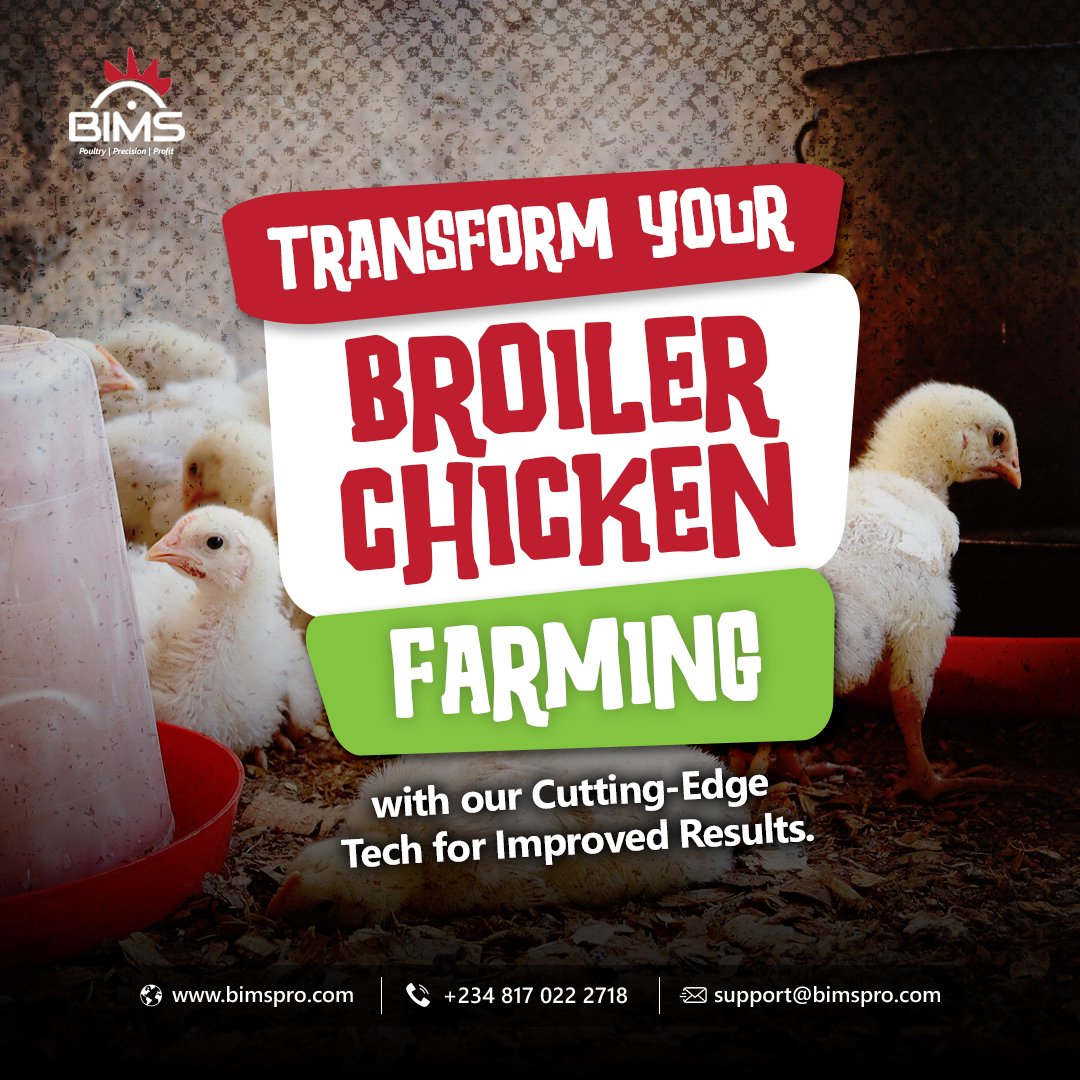 Bimspro_'s tweet photo. Transform Your Broiler Chicken Farming with Cutting-Edge Tech for Improved Results

Have you seen the features of our agfintech solution? Visit https://t.co/XOtEJiavuH 

#BIMS #broiler #poultry #profit #sales #agfintech #food #chicken #farm #farmer #Nigeria https://t.co/hqfJo52fR5