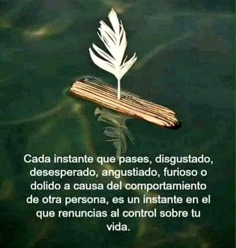 Hispafam's tweet photo. Tu tienes el control...☝🏽

You are in control...☝🏽
#HispaFam #TransformationTuesday #MartesDeTransformacion https://t.co/6qWOHOH6Tu