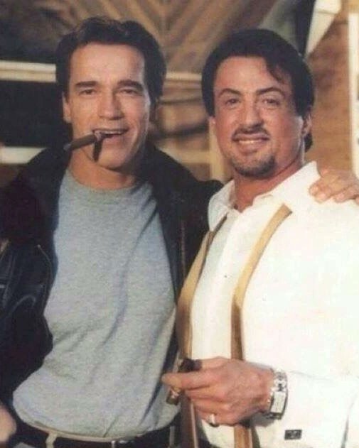 Schwarzenegger vs Stallone 🥊 Vous votez pour qui ? #schwarzenegger #stallone #film #movie #cinéma
