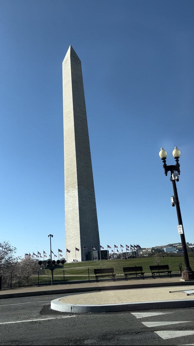 tori_samples's tweet image. Cherry blossom and blockchain season 🌸

#DCBlockchain
