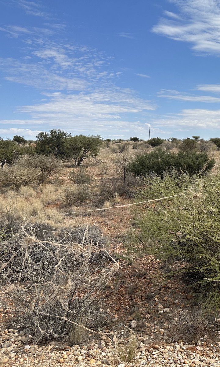 Steven Cassidy tweet media