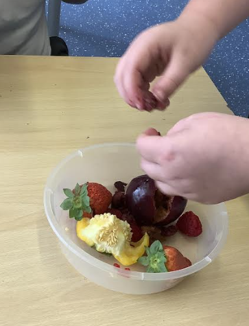We looked at seed dispersal, how it happens and why it is important! We explored outside to find different seeds, looked at different ways seed are dispersed and created our own experiment to see how exploding seeds are effectively dispersed. <a href="/IPAT_Edu/">The Inspire Partnership</a> <a href="/PrimaryElaine/">Elaine Primary</a> <a href="/EEC_Elaine/">Elaine Education Centre</a>