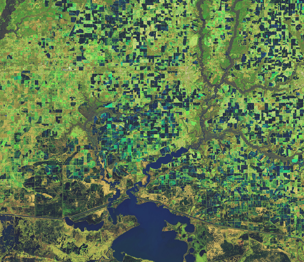 Louisiana’s Rice Fields via NASA ift.tt/7ri2G8P