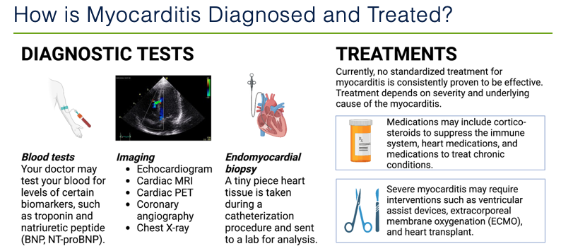 Javid Moslehi (@cardiooncology) on Twitter photo Announcing the creation of <a href="/UCSF/">UC San Francisco</a> Myocarditis Center! Hoping to bring better mechanistic understanding of the disease to help our patients! <a href="/DrJESalem/">DrJE-Salem</a> @ImmunoCardioLab <a href="/ACCinTouch/">American College of Cardiology</a> <a href="/HeartNews/">American Heart News</a> <a href="/NatureCVR/">Nature Cardiovascular Research</a> <a href="/PilarMartinFern/">Pilar MartĂn Fernández</a> <a href="/CircAHA/">Circulation</a> <a href="/CircRes/">Circulation Research</a> #CardioImmunology
ucsfhealthcardiology.ucsf.edu/patient-care/c… Announcing the creation of <a href="/UCSF/">UC San Francisco</a> Myocarditis Center! Hoping to bring better mechanistic understanding of the disease to help our patients! <a href="/DrJESalem/">DrJE-Salem</a> @ImmunoCardioLab <a href="/ACCinTouch/">American College of Cardiology</a> <a href="/HeartNews/">American Heart News</a> <a href="/NatureCVR/">Nature Cardiovascular Research</a> <a href="/PilarMartinFern/">Pilar MartĂn Fernández</a> <a href="/CircAHA/">Circulation</a> <a href="/CircRes/">Circulation Research</a> #CardioImmunology
ucsfhealthcardiology.ucsf.edu/patient-care/c…