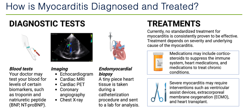 Announcing the creation of @UCSF Myocarditis Center! Hoping to bring better mechanistic understanding of the disease to help our patients! @DrJESalem @ImmunoCardioLab @ACCinTouch @HeartNews @NatureCVR @PilarMartinFern @CircAHA @CircRes #CardioImmunology ucsfhealthcardiology.ucsf.edu/patient-care/c…