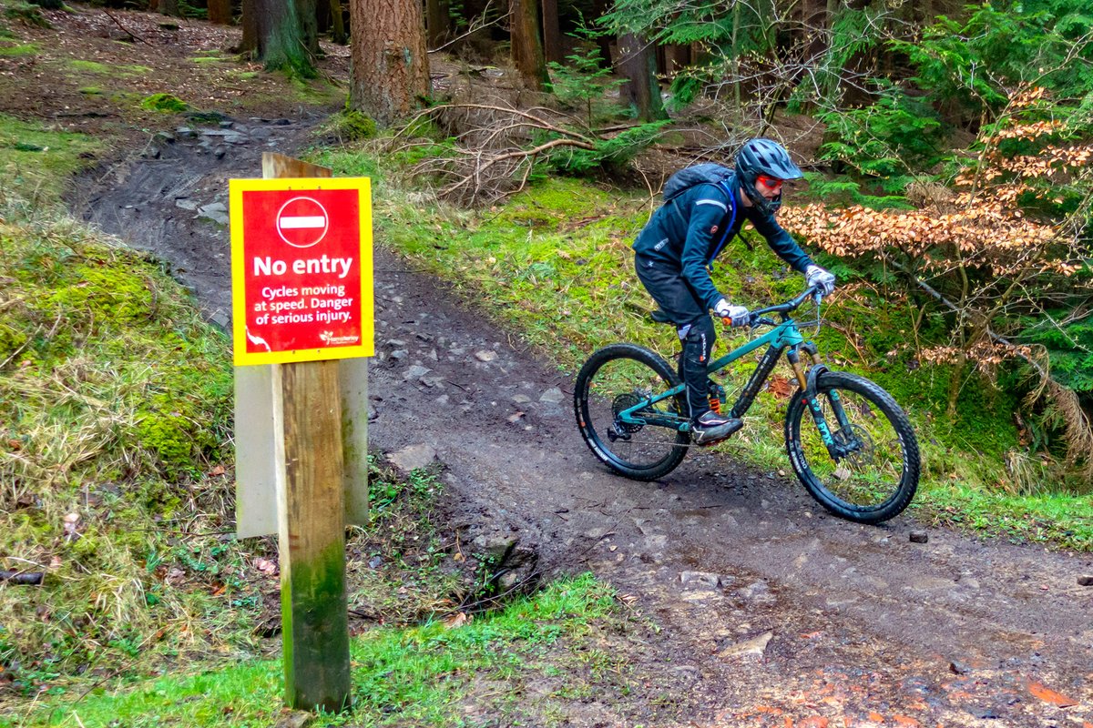 JLPhoto&Video tweet media