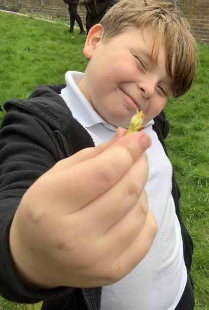 OakEPS's tweet photo. We looked at seed dispersal, how it happens and why it is important! We explored outside to find different seeds, looked at different ways seed are dispersed and created our own experiment to see how exploding seeds are effectively dispersed. @IPAT_Edu @PrimaryElaine @EEC_Elaine https://t.co/Wgbx7fZj3V