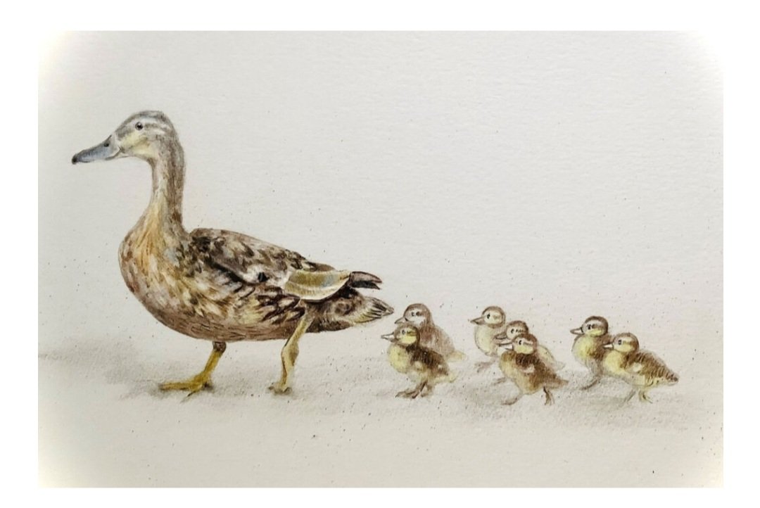 Simon Smith tweet media