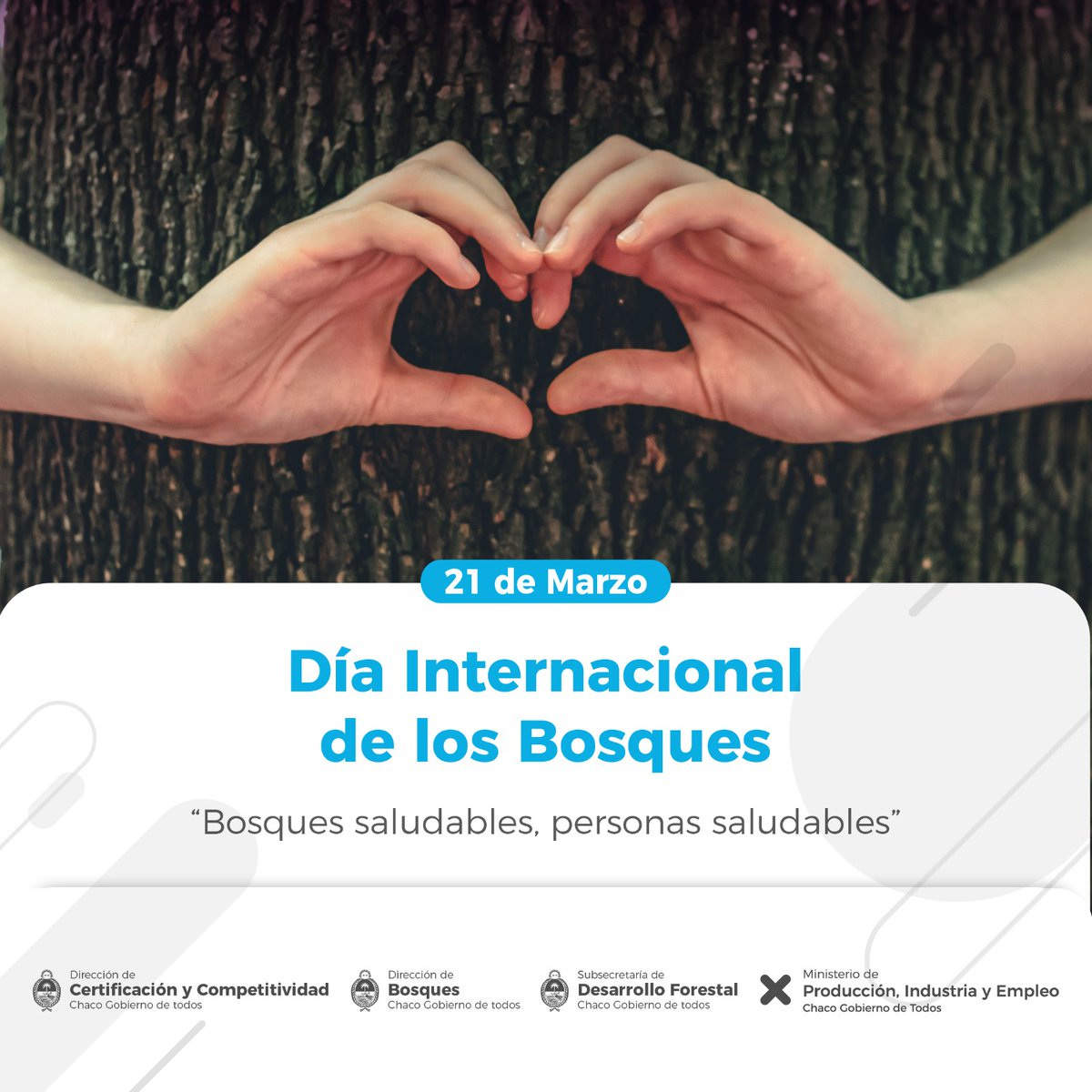 Dirección de Bosques tweet media