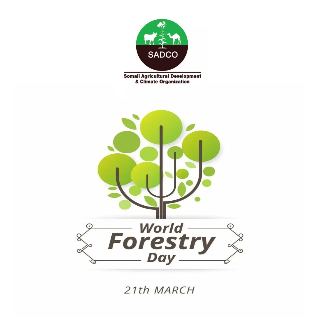SadcoOrg's tweet photo. International Day of Forests 🌳 

The theme for 2023 is “Forest and Health”. 

Forests give us so much to our health. They purify the water, clean the air, capture carbon to fight climate change, provide food and life-saving medicines, and improve our well-being. 

#ForestDay2023 https://t.co/UFPegC8rMU